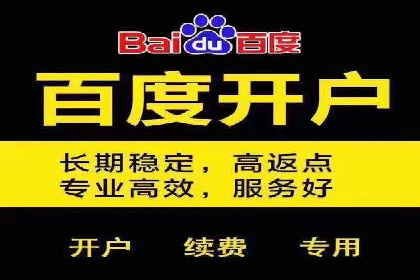 百度竞价赚钱技巧：案例分析